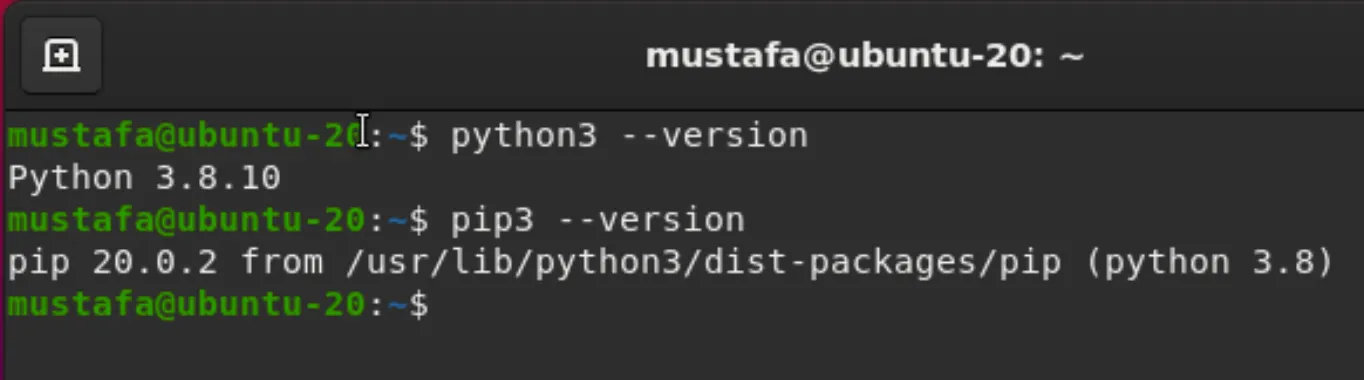 Python3 and pip3 installation verification